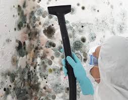 Best Mold Documentation for Insurance Claims in Inola, OK